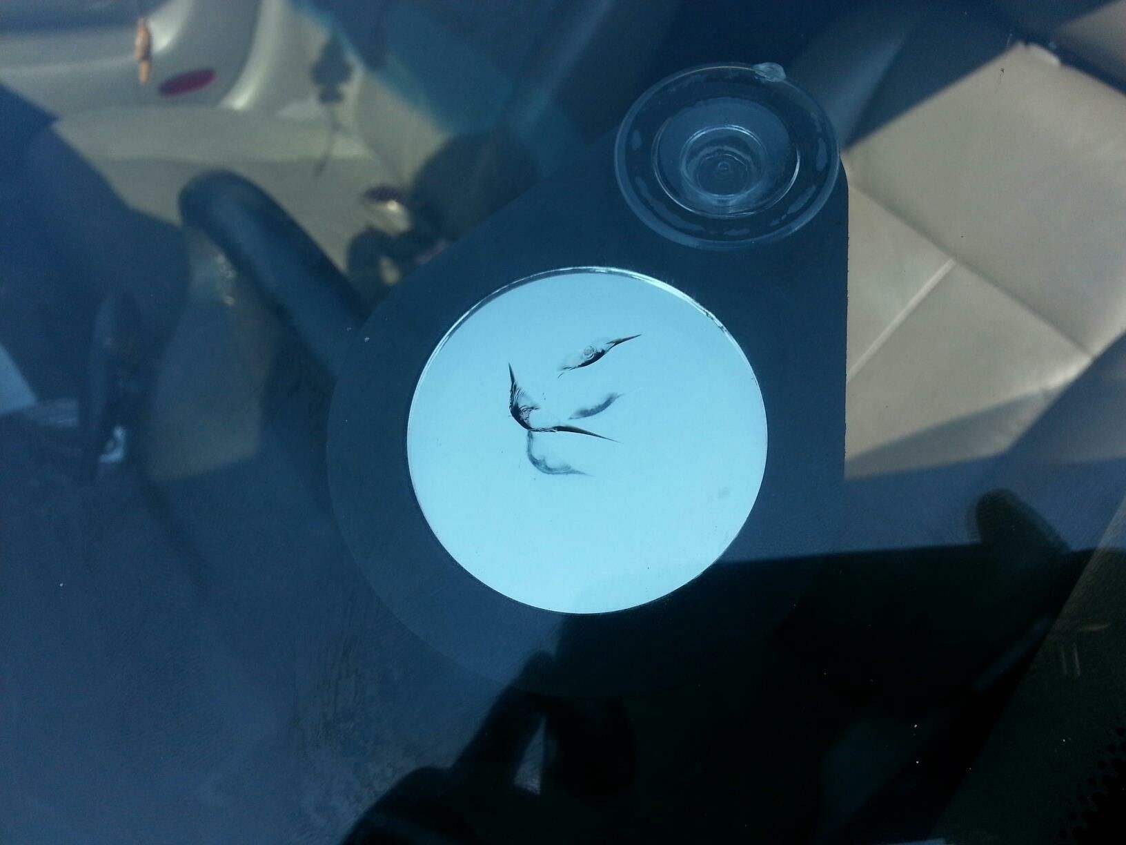 Close-up of a sticker with a minimalist drawing of an animal's face on a car windshield.